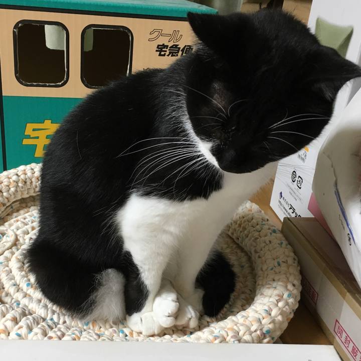 C5c7cdf1 7819 4e07 9880 e1356aa3fa9b