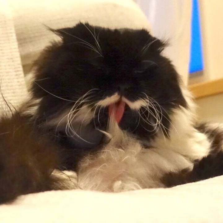 C5c87af2 d5a7 477d 8da7 33a49d1391cd