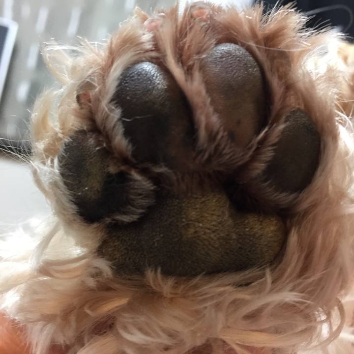 C5c88706 9f2a 419e a1a3 3eeb0b732ddf