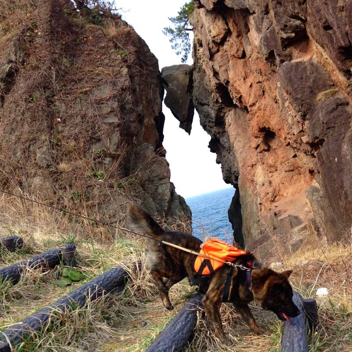 C5c8ba05 3e62 4583 9bc3 ba781e9a8a5c