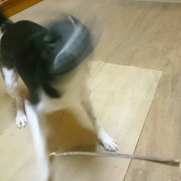 C5ca1164 fa67 4bbd b601 63327ccf419f