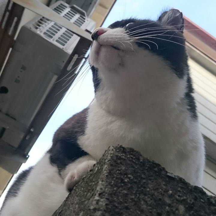 C5caa3c6 fca0 4221 a659 256b943eaa75