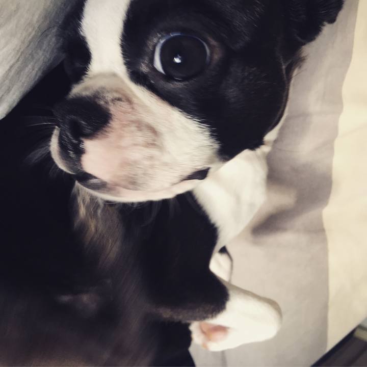 C5cafff5 7bf8 4df2 ba68 d0860921ff2d