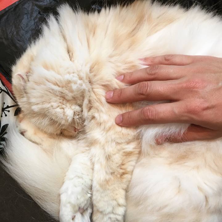 C5cb2cc6 bac9 4ec4 8ec8 abb244c398ce