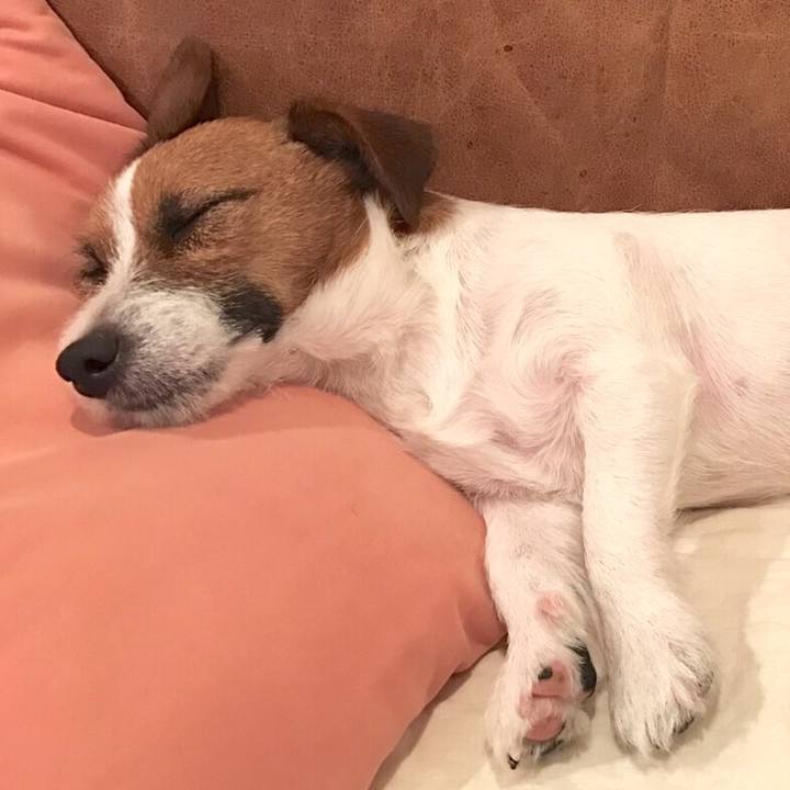 C5cb3f18 eae8 411f 9700 35e7214723cb