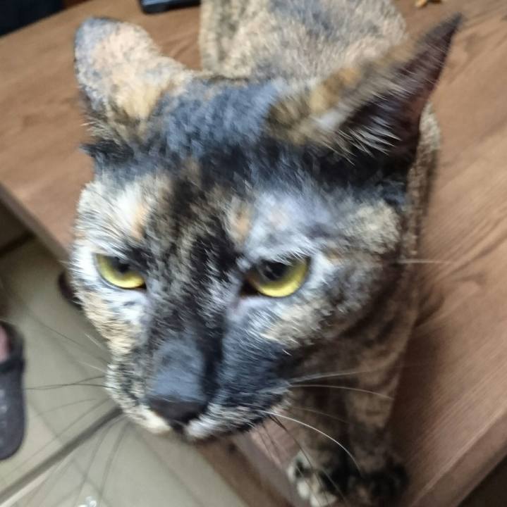 C5cb61b3 2673 44f9 88a4 2d68d78b372d