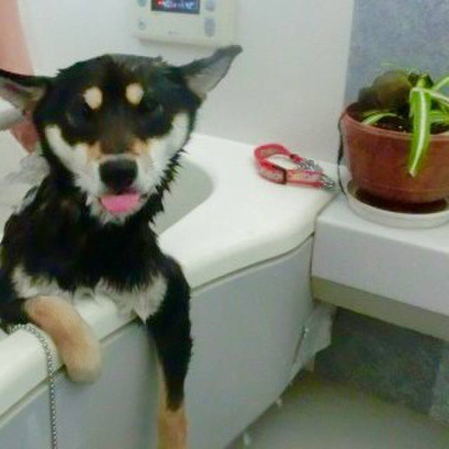 C5cc1e1d 8909 4876 a1a8 b84e8f03df9b