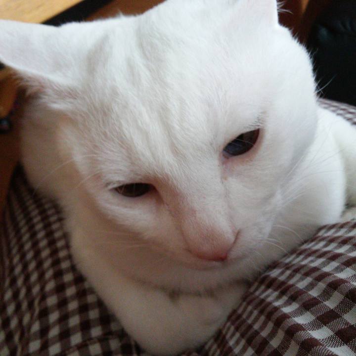 C5cc216f c18d 467a 82ea 49aa81d8536d