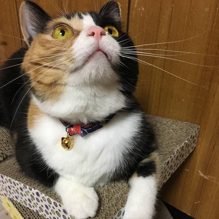 C5cd5365 8708 4c8c 8447 41d1b7936dd7