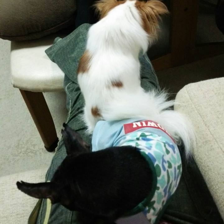 C5ce9b1c ad92 47ee 8f6f e5280c3236df