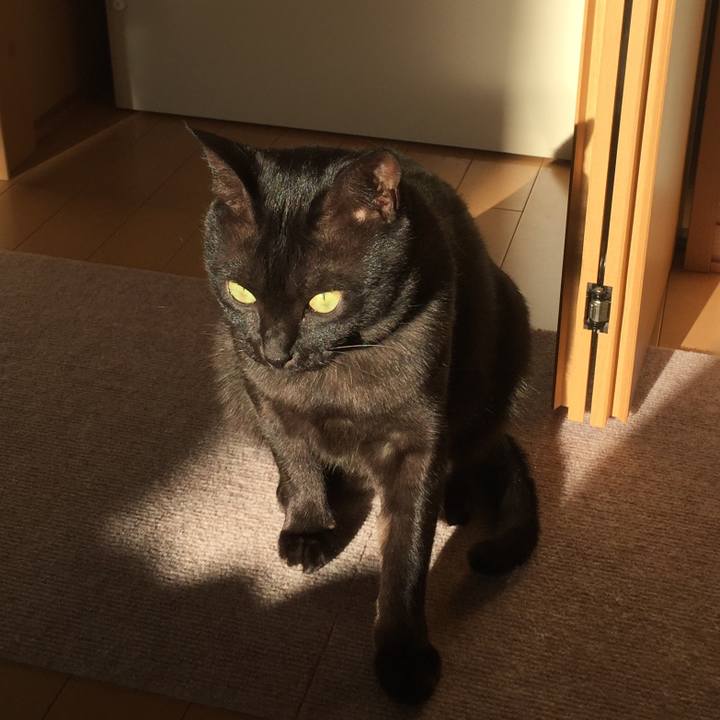 C5ceaa18 9165 4544 9b9b 82a5fcc93010