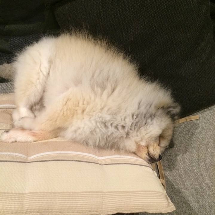 C5cef763 1a14 486f 94d4 c6bd232070cc