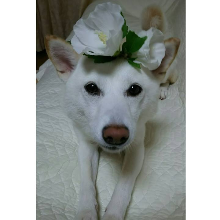 C5cf78bf caa7 48a8 9280 c0edb3a2c56f