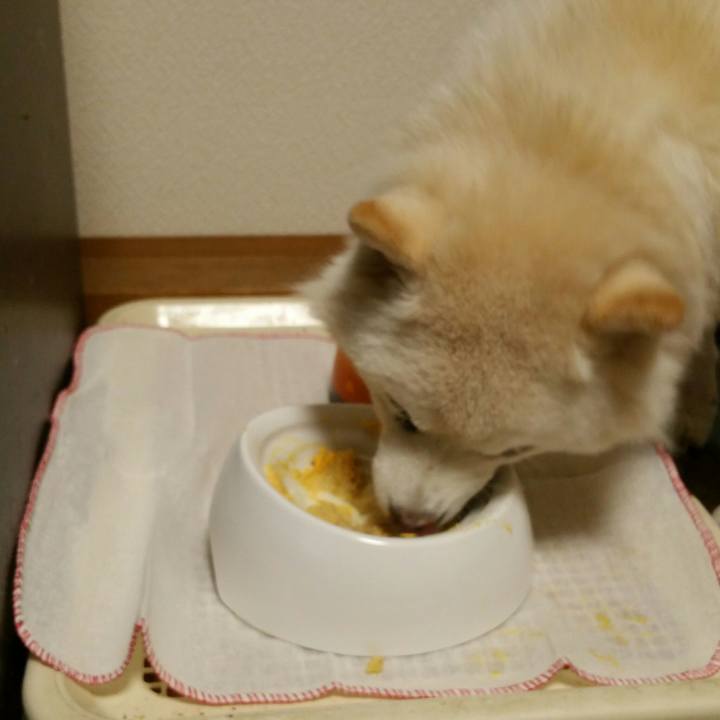 C5cfa728 f90a 4eea ab29 d3041b5049e0