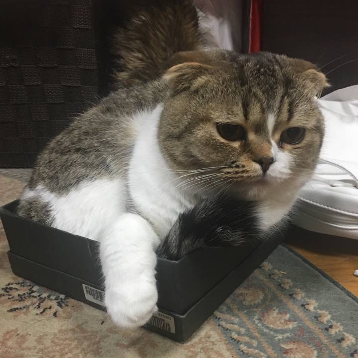 C5d0fd27 1517 4d8d b578 785510d782aa