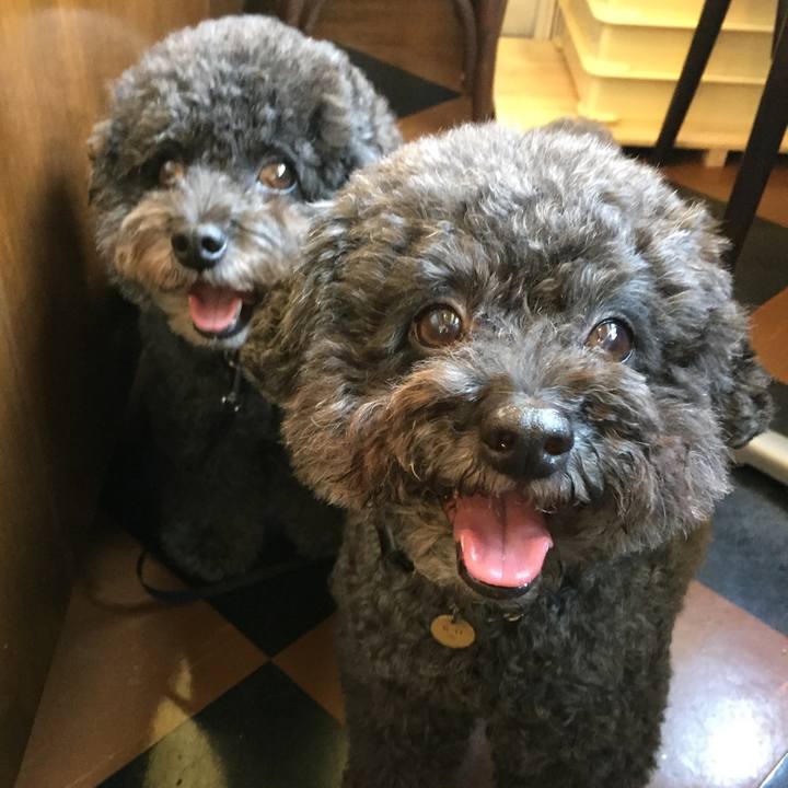 C5d16666 a262 4088 beaf d76c75648230