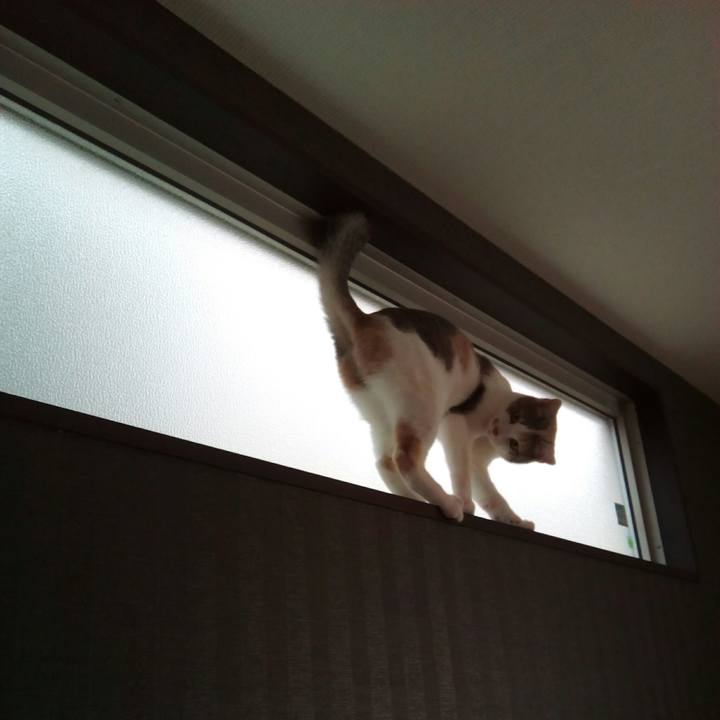 C5d242bd 8249 4370 aa07 07eefc2c3b84