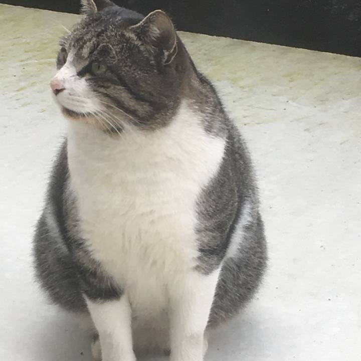 C5d254af 4bc8 4648 99a9 bd0220e3ec3b