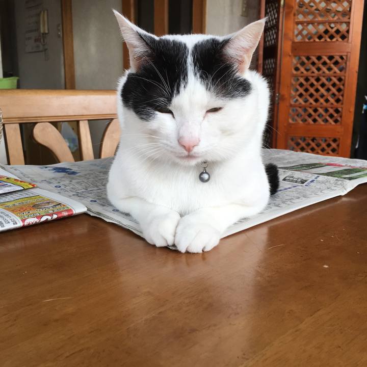 C5d2850c e47c 46bb b8f2 1b856f861877