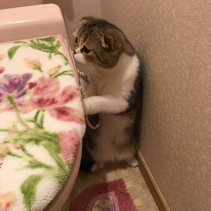 C5d30028 f38e 44de a07e a595835c7472