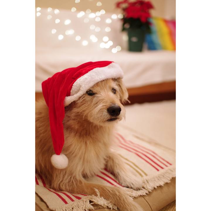 C5d337ea 3578 4834 98bd ba3704f8085a