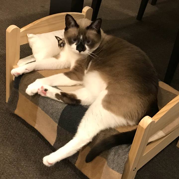 C5d3729f f60d 4464 bf3b 19bdb1d67c67