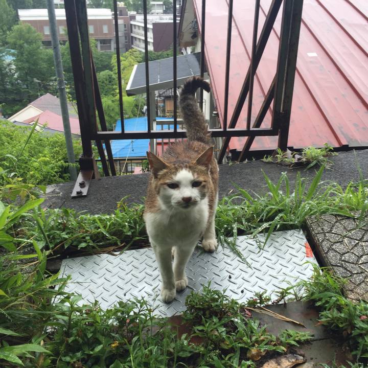 C5d3f070 55ce 4fc5 b9b5 77fe01827e5b