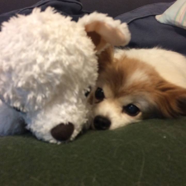 C5d41312 778e 4773 a960 26bccc3d39b3