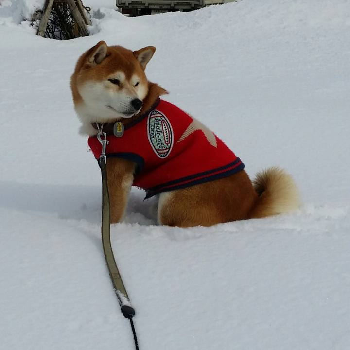 C5d47bfc 09ef 445e b5d9 b706fd97711b