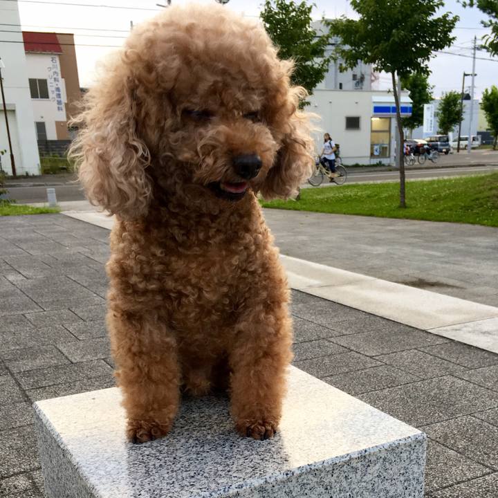 C5d4ba7f 65f1 4aec 8c39 1165b96725e7