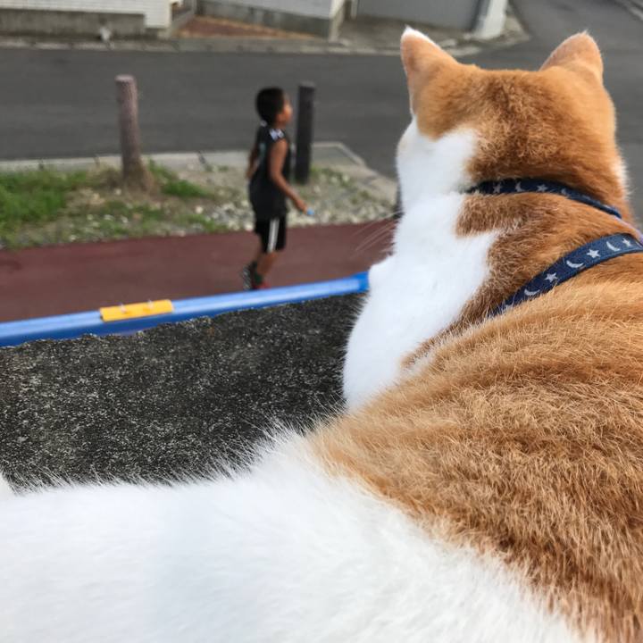 C5d50aae 2291 4b37 8330 303d707c7e31