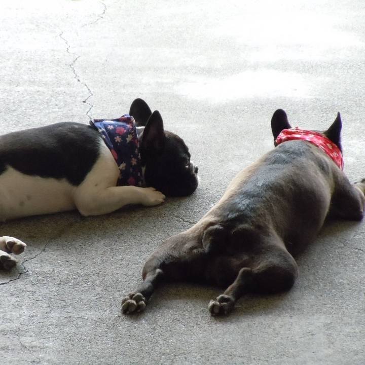 C5d51830 e59a 430e 8967 8f185af8e159