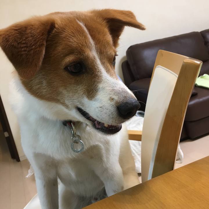 C5d582de 6ee8 4f87 8e57 336a88cc3820