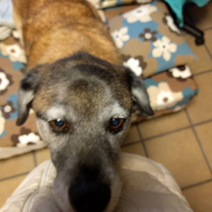 C5d5d681 be77 47c4 918b 182e73a970a2