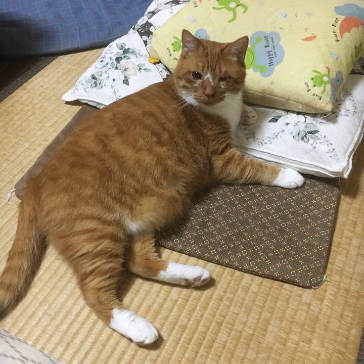 C5d5db3e b932 43e7 9893 ea6791fab086