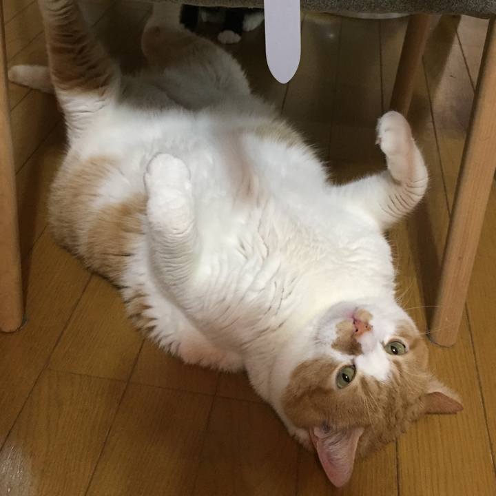 C5d6340f 7177 4f90 b320 8906d0c2f8bd