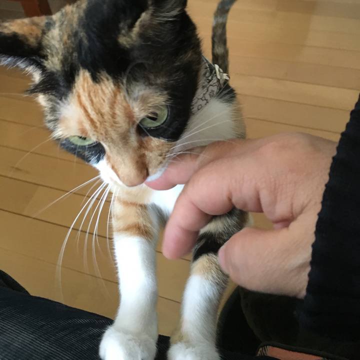 C5d6b8a8 46b2 48e3 8928 f91419bf0048