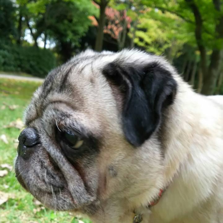 C5d713fc 5ed9 45c7 a120 92565f133605