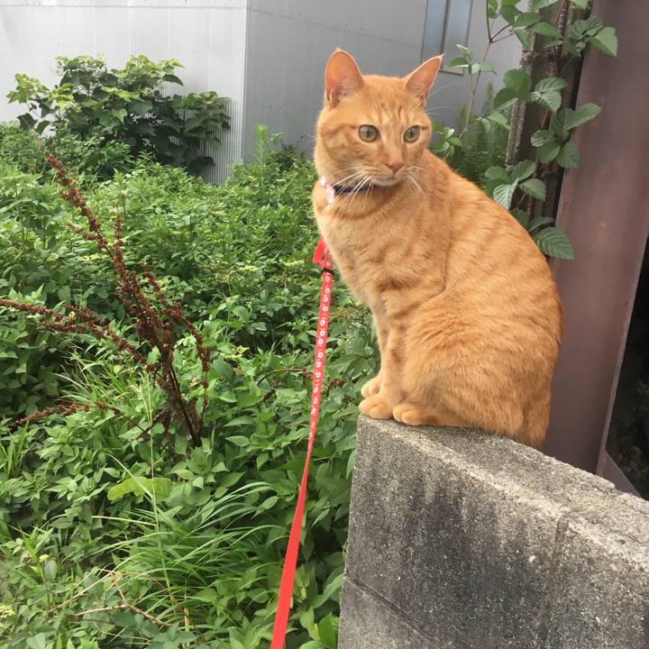 C5d7add6 ebce 4fa1 92cb 8ae5df5f9f76