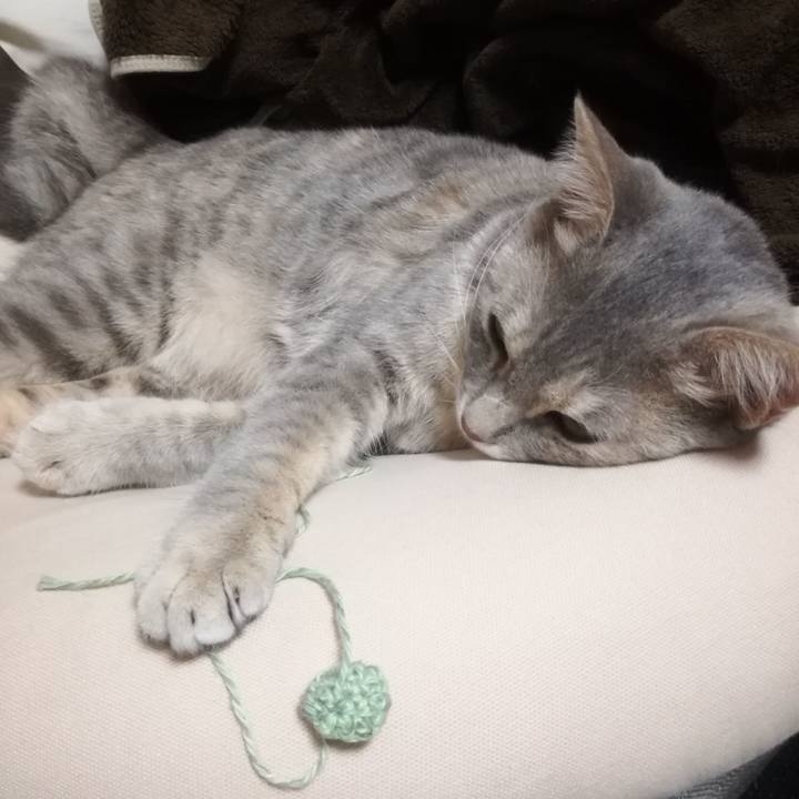 C5d84aa1 4752 432b a6d3 2a61cc11442a