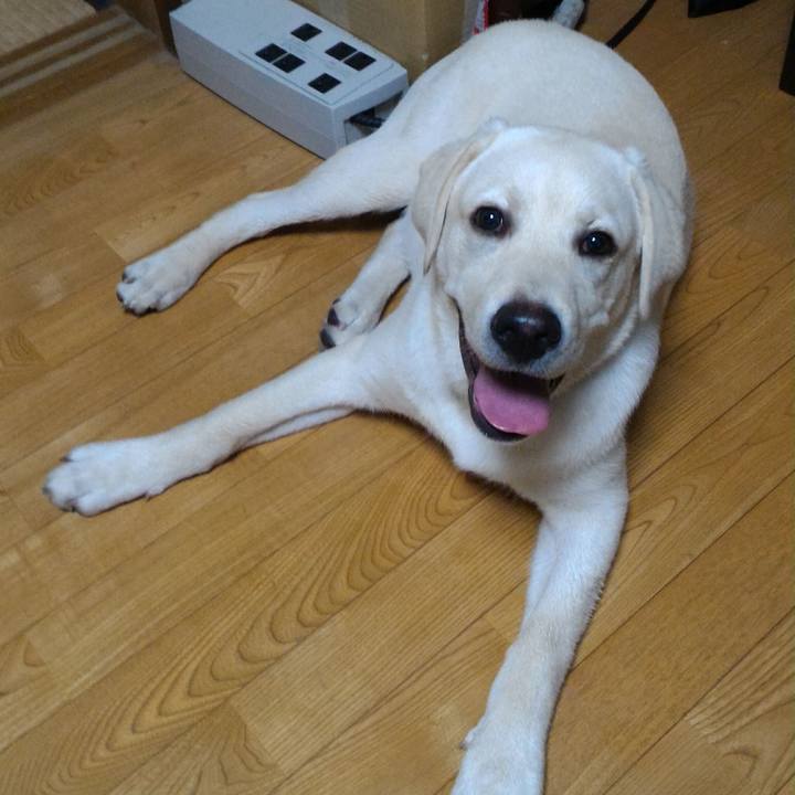 C5d8a472 20ce 4573 86dd 8199a93d0bc0