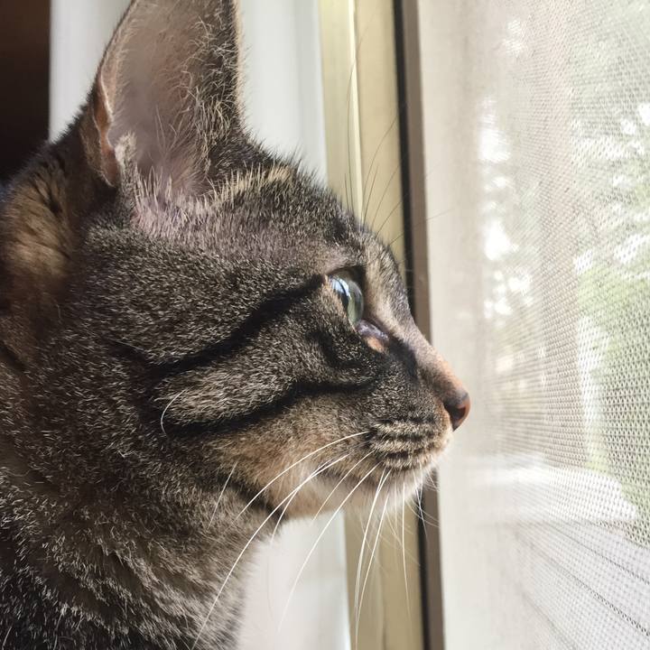 C5d96fcf 6c90 4b33 ad0b deb52cbd5c6d