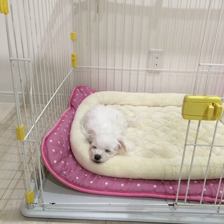 C5d9a5da 3f3b 4cb1 bbab 5271ca4f9f40