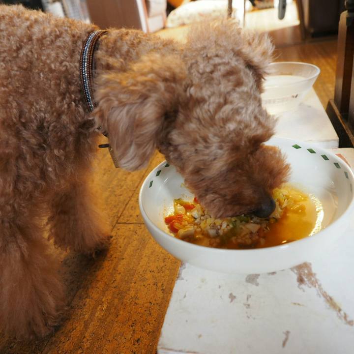 C5da0d17 4c7f 4f0f a65e 291484afe085