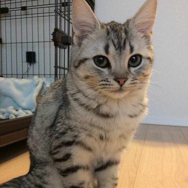 C5da2cfe 9f9a 45fa b04d c8443d6fd865