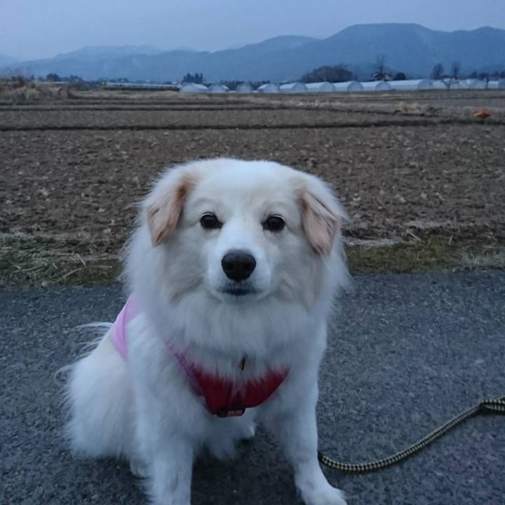 C5dae9e2 22ee 44bc bac1 eb010f180c20