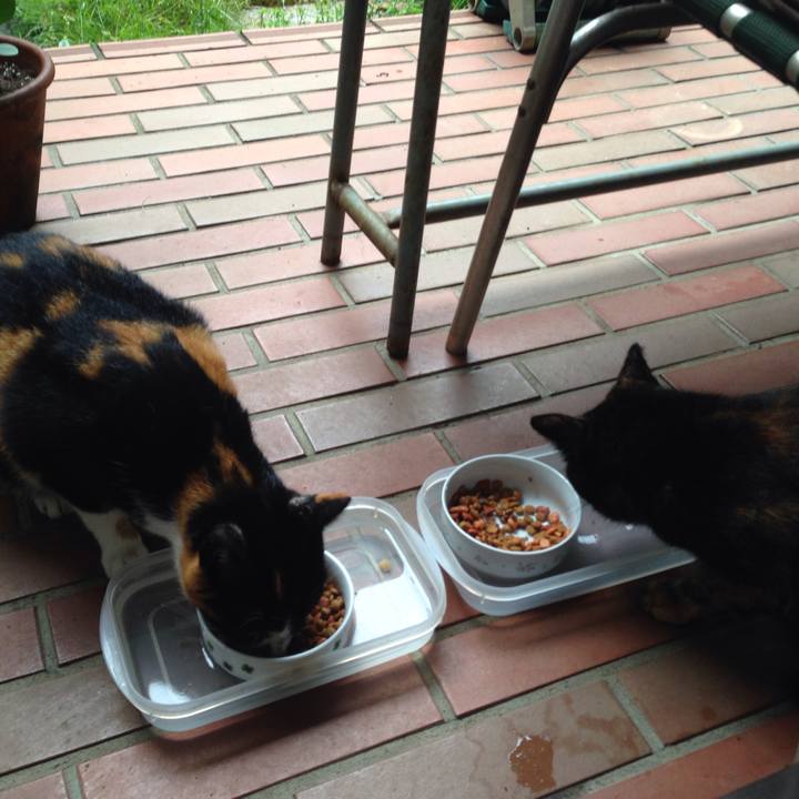 C5db16fd 8329 46a4 a819 f6710f4329ce