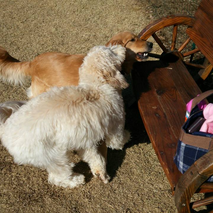 C5db795b 26a8 4050 aaf3 bfc4c232cbb8