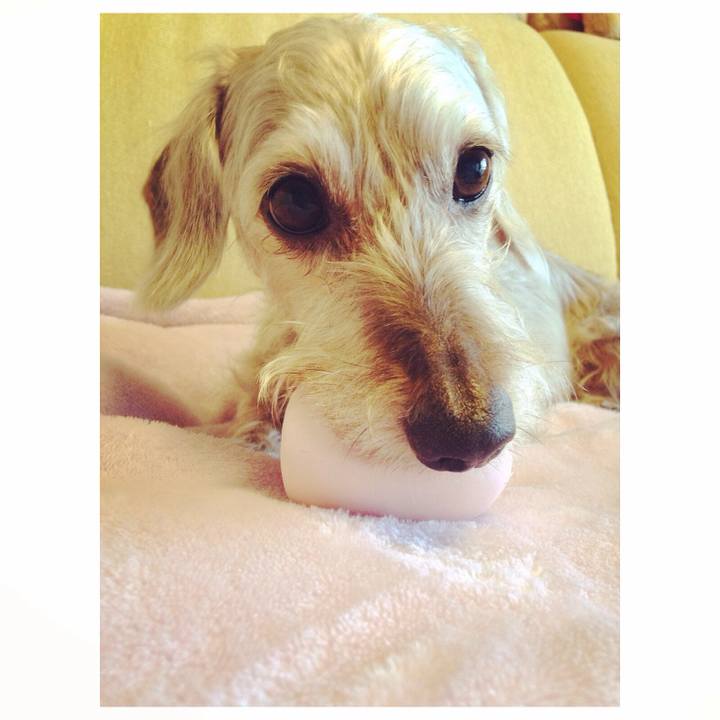 C5dc0198 d13e 4955 b9b2 1e8e90197f3a