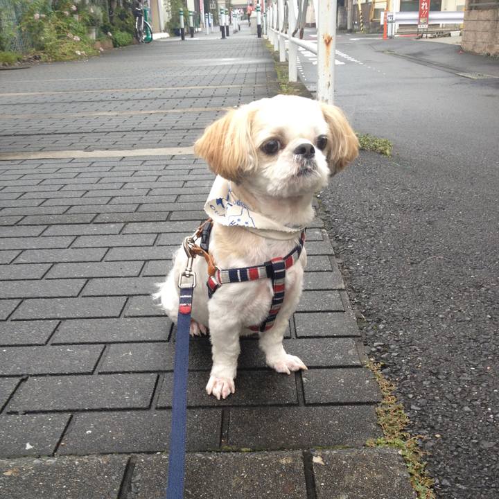 C5dd053b 8296 4132 a258 4bb16a8b87b3